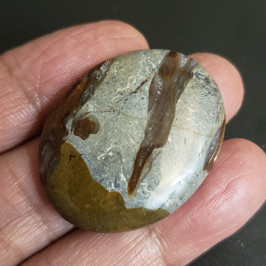 Natural Colus Fossil Agate Cabochon. Size- 37x29mm